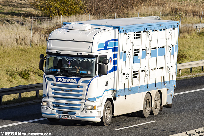 scaniars31.jpg
