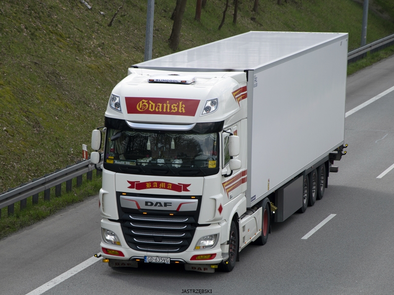 DSC_0071kopia tf.jpg