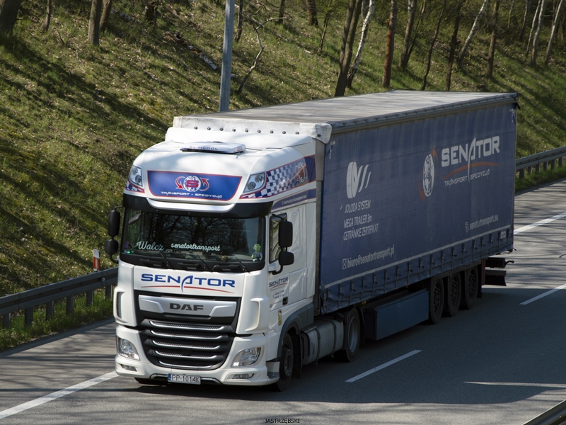 DSC_0120kopia tf.jpg