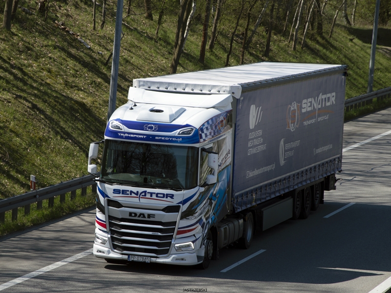 DSC_0226kopia tf.jpg