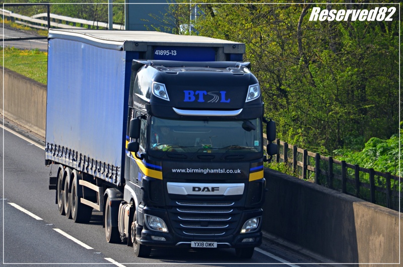 DSC_8369.JPG BTSL.JPG