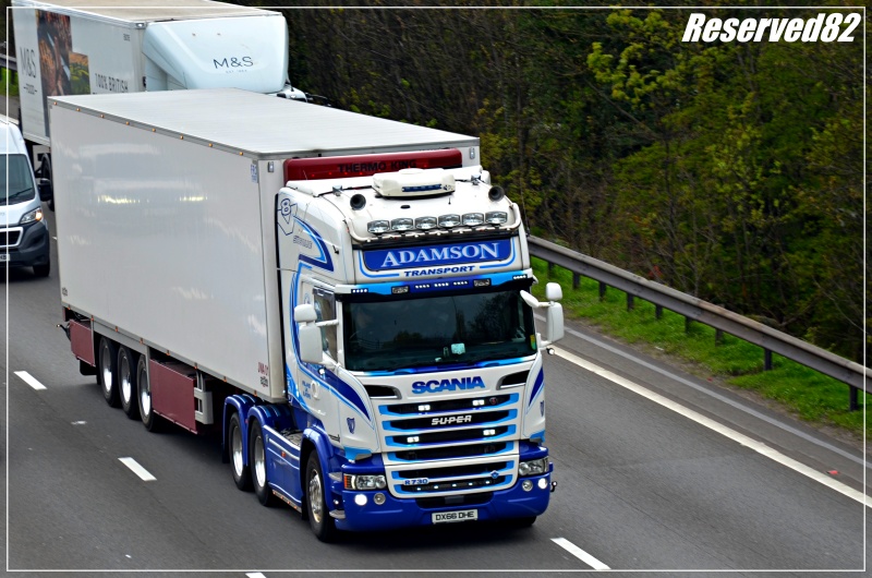 DSC_9480.JPG Adamson.JPG