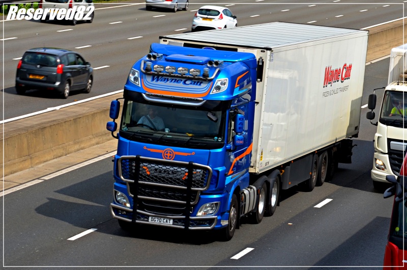 DSC_2285.JPG Wayne catt.JPG