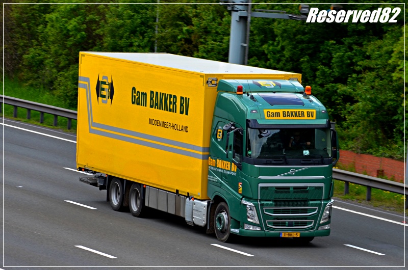 DSC_2319.JPG Gam.JPG