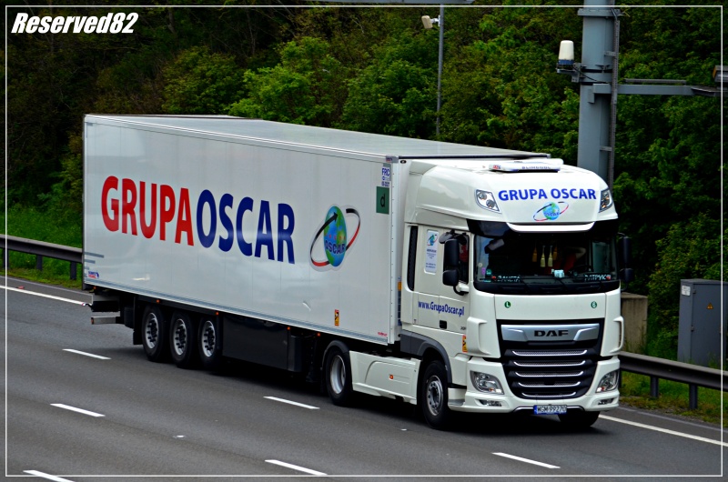 DSC_3518.JPG Grupa.JPG