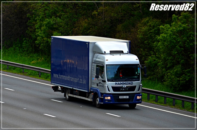 DSC_3462.JPG Hammond.JPG