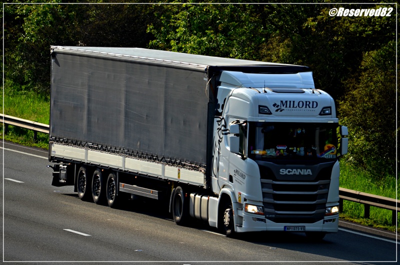 DSC_0030.JPG Milord.JPG