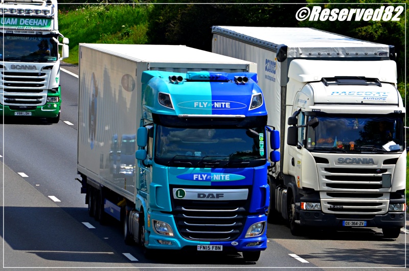 DSC_4004.JPG Fly.JPG