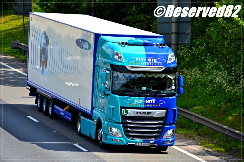 DSC_4032.JPG Fly 3.JPG