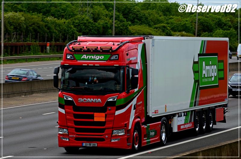 DSC_7742.JPG Amigo 3.JPG