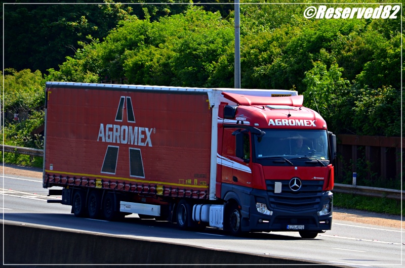 DSC_7297.JPG Agromex.JPG