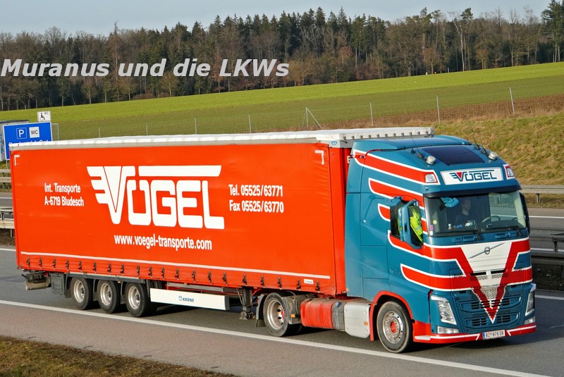 010_Volvo-FH--xxx-Vögel-Österreich_20210223_006.JPG