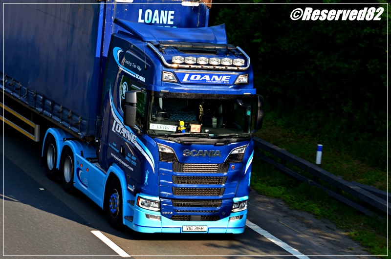 DSC_1373.JPG Loane 2.JPG