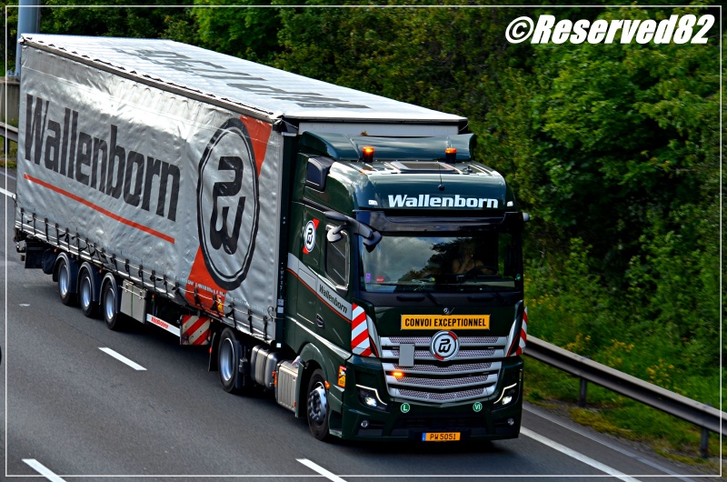 DSC_6398.JPG Wallenborn.JPG