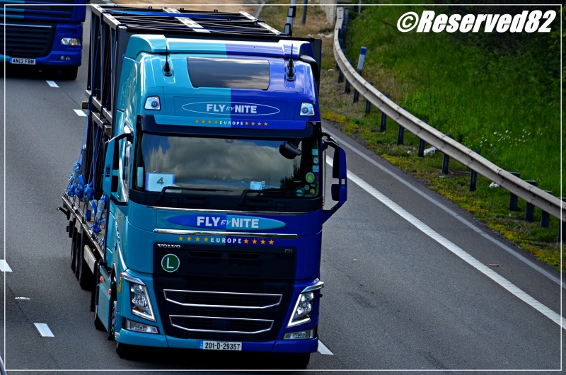 DSC_6016.JPG Fly by nite 25.JPG