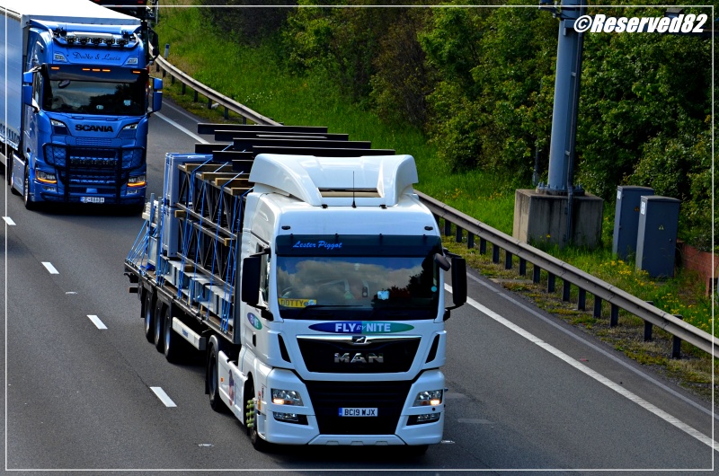 DSC_5964.JPG Fly by nite 25.JPG