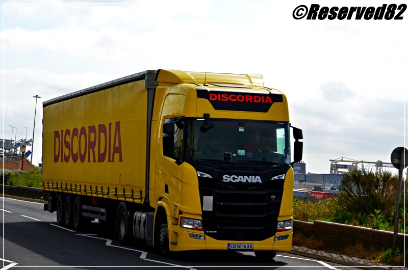 DSC_6249.JPG Discordia 4.JPG