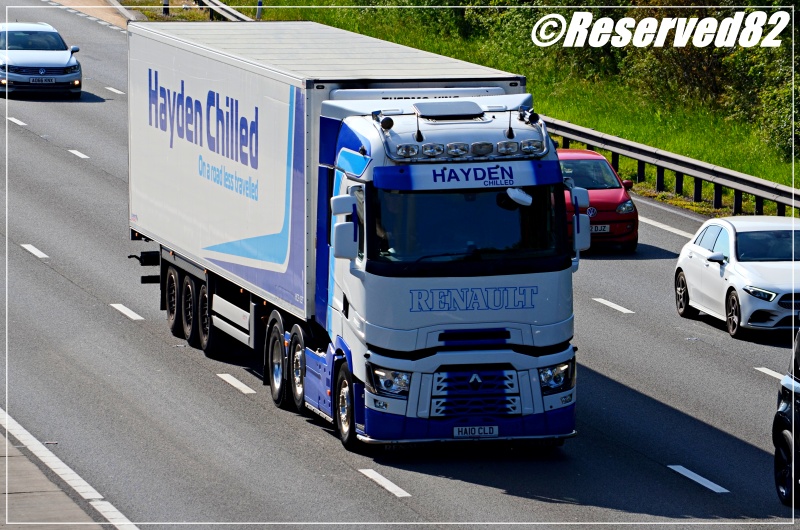 DSC_6767.JPG  hayden chilled.JPG