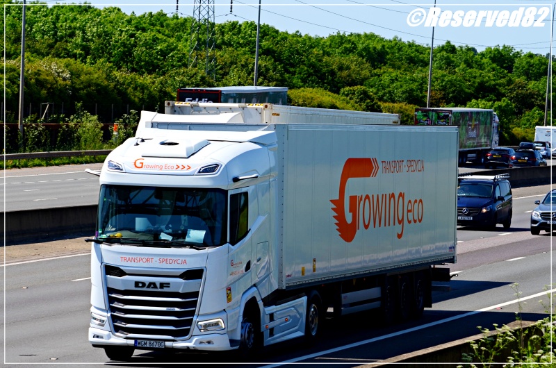 DSC_7804.JPG Growing eco.JPG