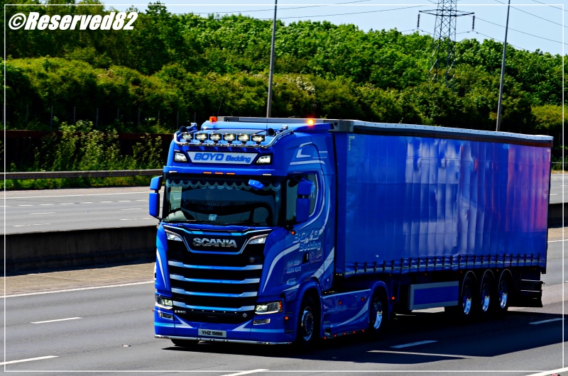 DSC_8081.JPG Boyd.JPG