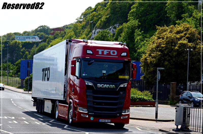 DSC_4199.JPG Tfo.JPG