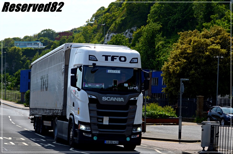 DSC_4206.JPG Tfo 2.JPG