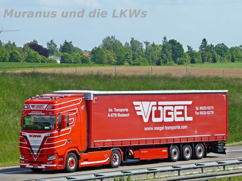 A7 bei Neu-Ulm<br />A7 (D)