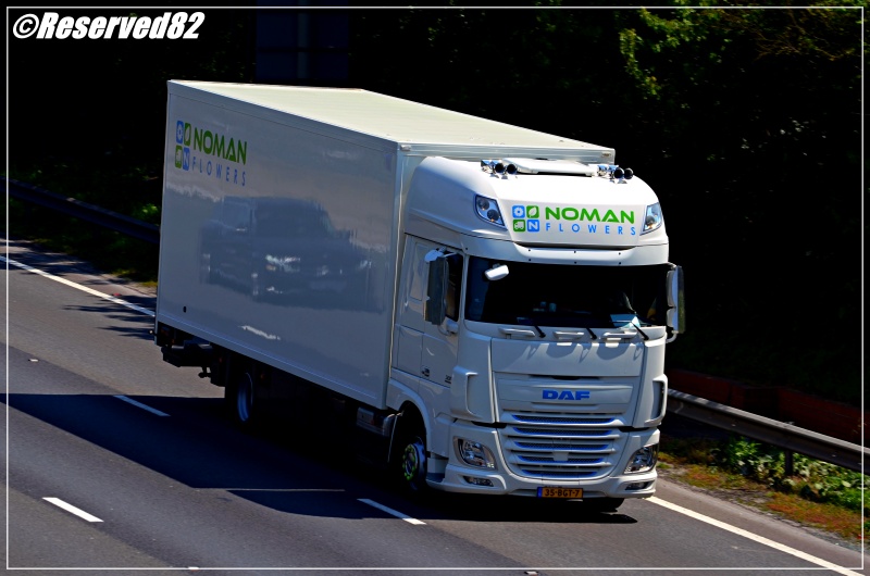 DSC_1238.JPG Noman Flawers.JPG