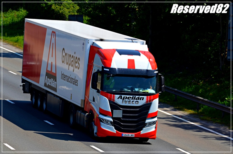 DSC_1657.JPG apellan.JPG