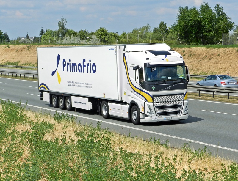 primafrioP.JPG
