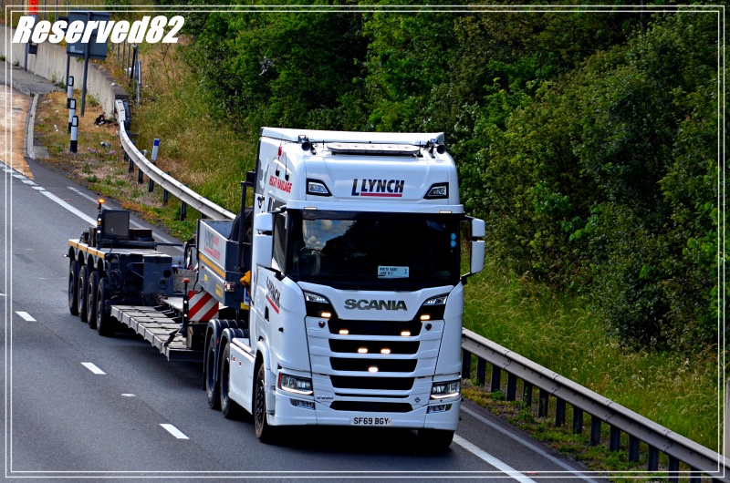 DSC_1868.JPG Lynch.JPG