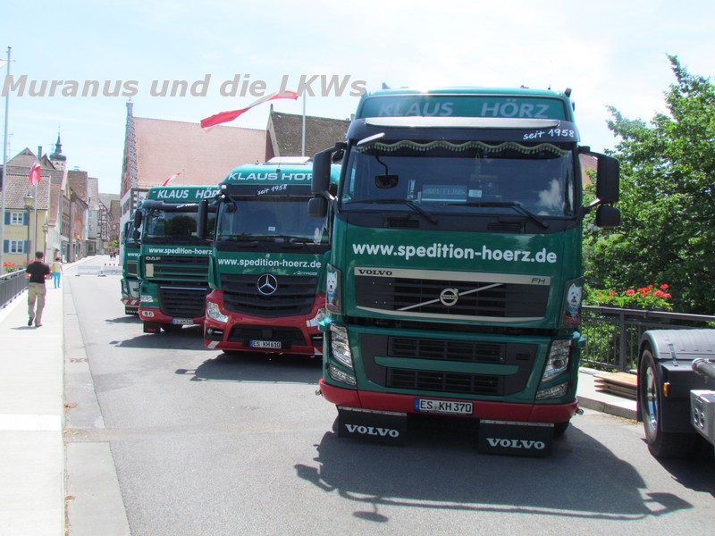 025_Volvo-FH460-Hörz_20130615_001.JPG