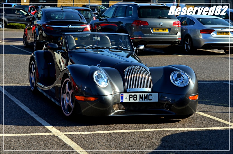 DSC_4250.JPG Morgan.JPG