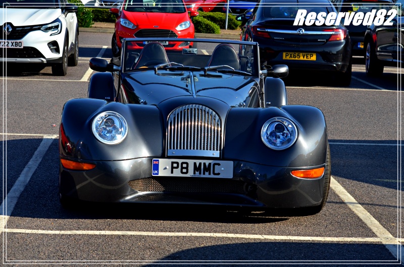 DSC_4251.JPG Morgan.JPG