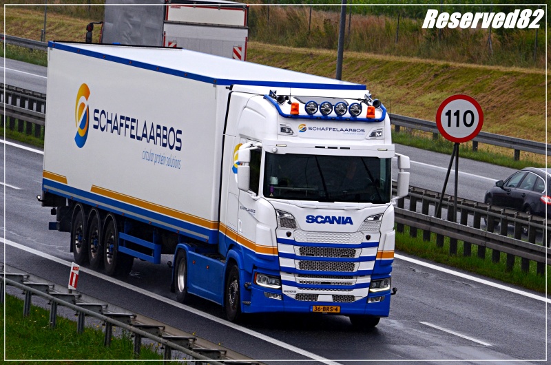 DSC_4560.JPG schaffelaarbos(holland).JPG