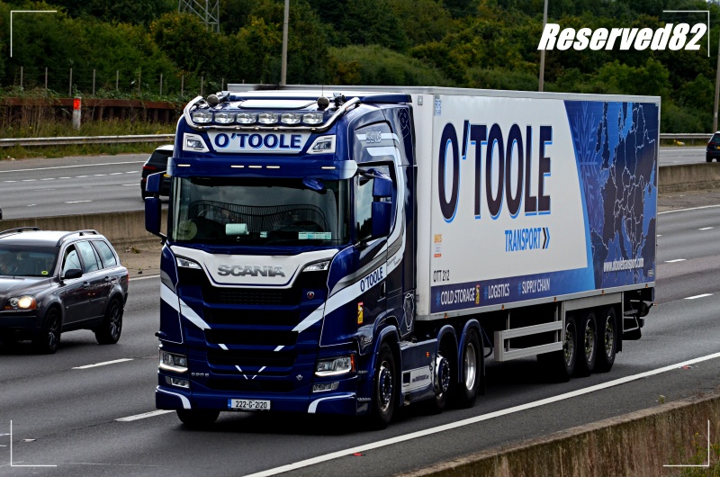 DSC_7977.JPG O'Toole.JPG