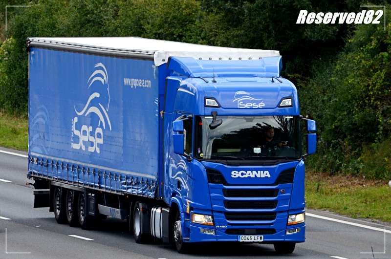 DSC_8390.JPG SeSe.JPG