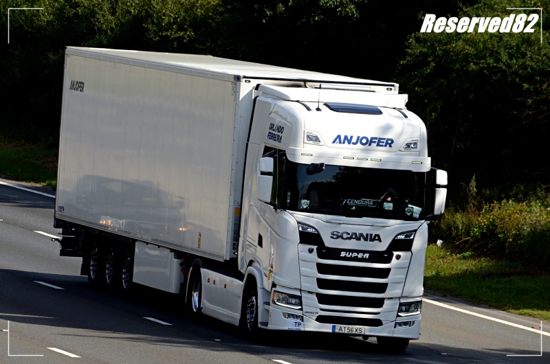 DSC_8826.JPG Anjofer.JPG