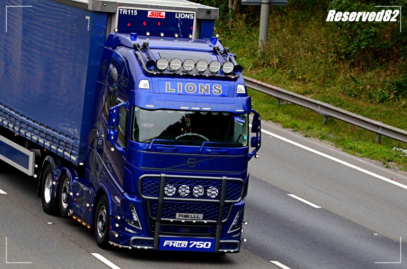 DSC_1865.JPG  Lions.JPG