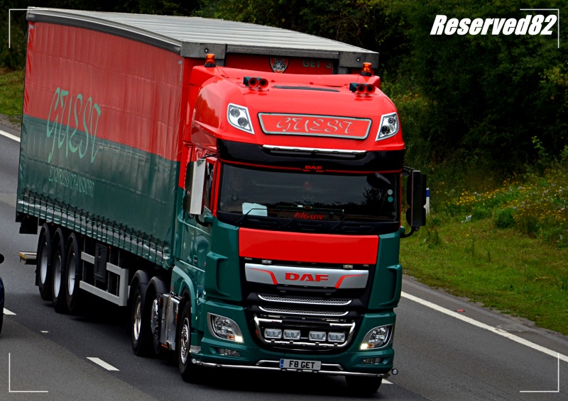 DSC_0883.JPG Guest.JPG