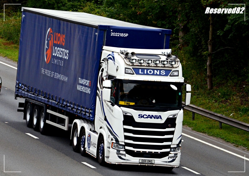 DSC_1130.JPG Lions.JPG