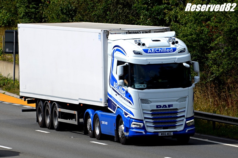 DSC_8322.JPG Aechilled.JPG