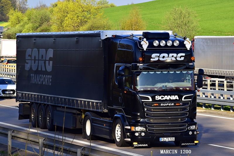 _DSC2659-crop-Leo Sorg GmbH-Scania R Streamline Topline.JPG