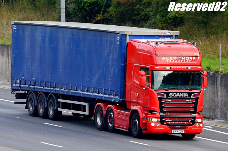 DSC_7008.JPG Alex.JPG