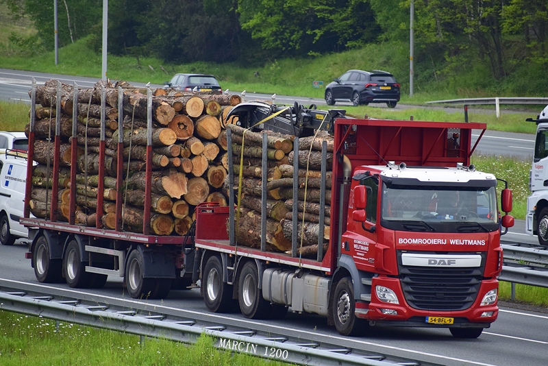_DSC3908-crop-Boomrooierij Weijtmans.JPG
