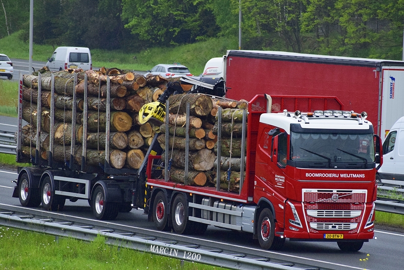 _DSC4136-crop-Boomrooierij Weijtmans.JPG