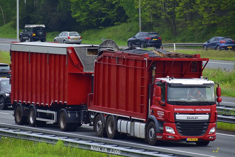 _DSC3862-crop-Boomrooierij Weijtmans.JPG