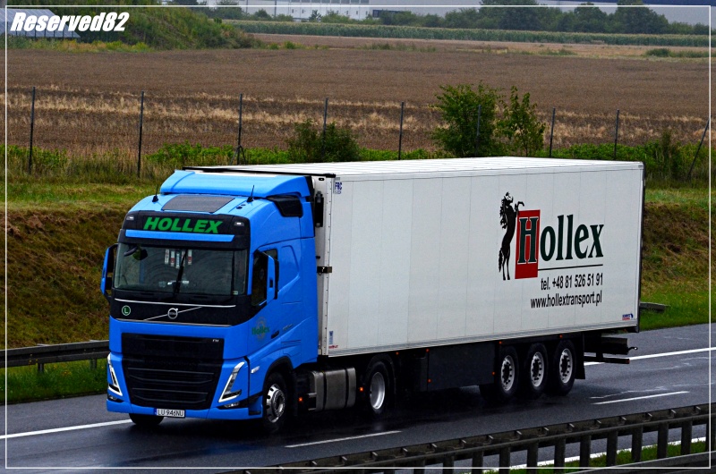 DSC_4527.JPG HolleX.JPG