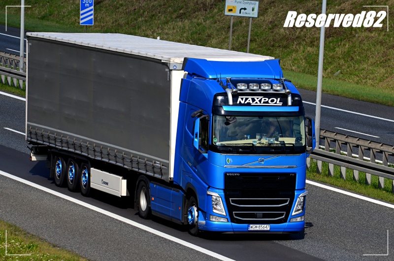 DSC_5593.JPG Naxpol.JPG