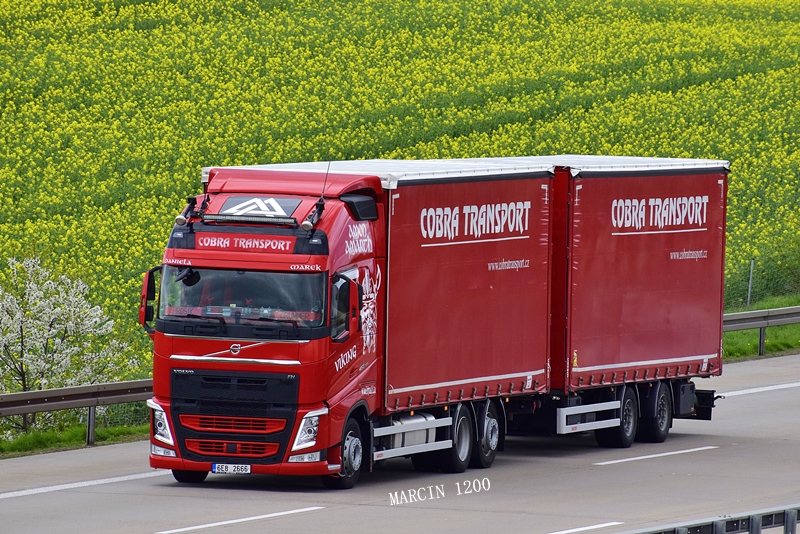 _DSC2018-crop-Cobra Transport.JPG